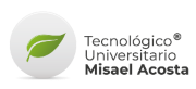 Tecnológico Misael Acosta Logotipo